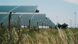 In Parndorf drehen sich die Paneele mit der Sonne. Dazwischen kann Getreide gedeihen.