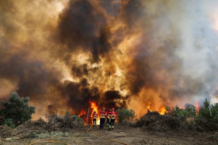 Der Brand im Norden Portugals verwüstete bereits schätzungsweise 10.000 Hektar. Mindestens neun ...