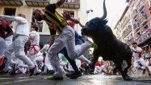 Die Läufer setzen bei der Stier-Hatz ihre Gesundheit aufs Spiel.
