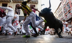 Die Läufer setzen bei der Stier-Hatz ihre Gesundheit aufs Spiel.