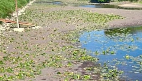 Hier wasseraffine Hunde auf jeden Fall zurückhalten bzw. anleinen!