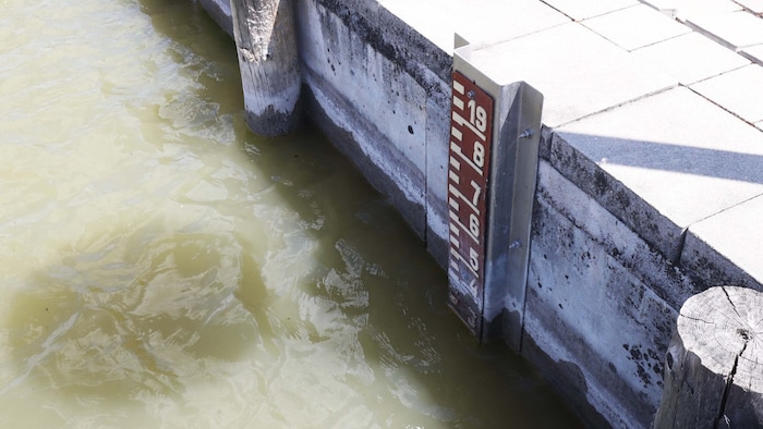 Der Neusiedler See reagiert naturgemäß sehr empfindlich auf Wetterextreme. Der Großteil seiner ...