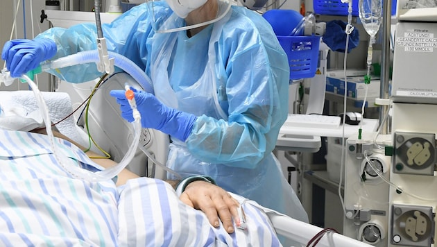 In Deutschland sind bereits vor der jüngsten Hitzewelle mehr als 800 Hitzetote seit April ...