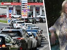 Das russische Landleben hat für Kneissl seine Tücken: Aufgrund der langen Wegzeiten ist sie umso ...