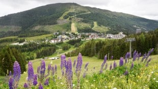 Auf der Katschberghöhe in St. Michael möchte ein Projektbetreiber aus einer kleinen Hütte ein ...