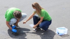 Greenpeace-Experte Stefan Stadler kontrolliert mit einer Kollegin einen Parkplatz in Meidling. ...