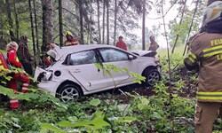 Der Lenker wurde im Auto eingeklemmt und musste von der Feuerwehr befreit werden.