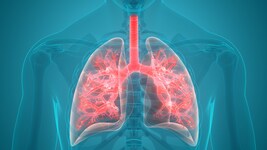 Interstitielle Lungenerkrankungen wie Lungenfibrose brauchen schnell Behandlung.