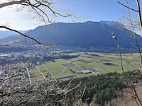 Die Riedflächen zwischen Tisis und Tosters bieten vielen seltenen Tier- und Pflanzenarten eine ...