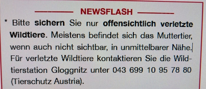 In der Gemeindezeitung wird nicht der Verein „Ein Herz für Wildtiere“ als erste Anlaufstelle ...