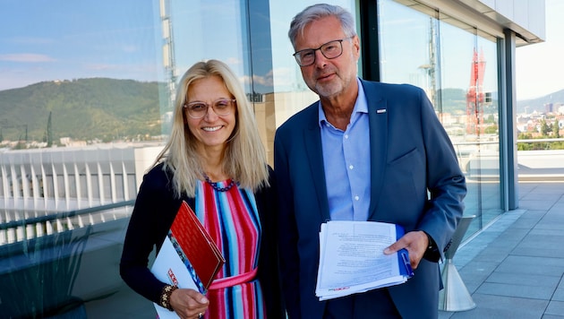 Direktor Karl-Heinz Dernoscheg und WKO-Finanzchefin Margit Chybin präsentierten den RH-Bericht.
