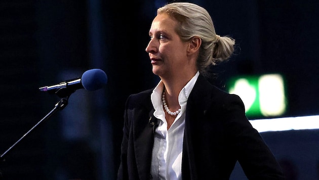 Alice Weidels Partei steht nunmehr nicht nur unter Beobachtung des deutschen ...