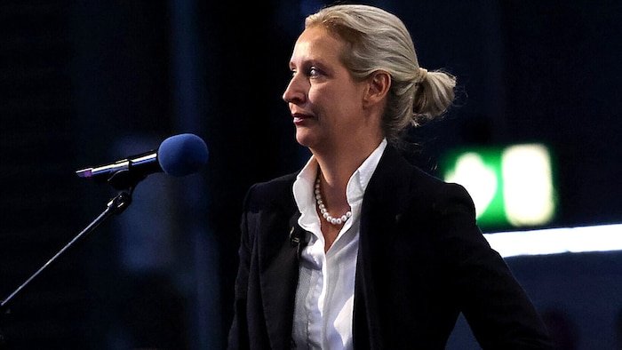 Alice Weidels Partei steht nunmehr nicht nur unter Beobachtung des deutschen ...