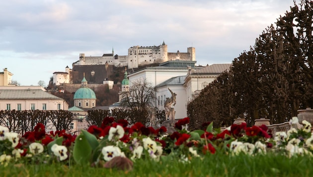 Eine neue Person zeichnet künftig für die Geschicke der Salzburg Tourismus GmbH verantwortlich.
