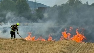Fast drei Hektar Stoppelfeld standen in Flammen.