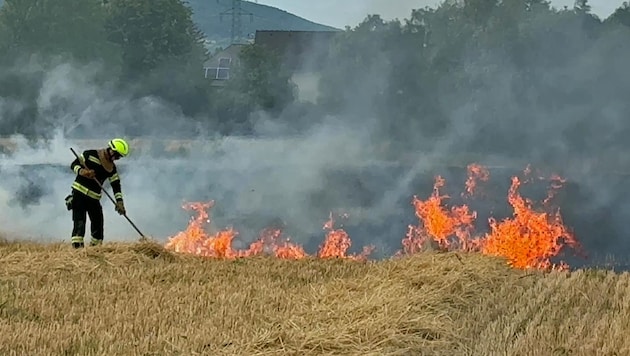 Fast drei Hektar Stoppelfeld standen in Flammen.