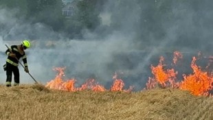 Derzeit kommt es aufgrund der Trockenheit im Osten Österreichs immer wieder zu Flurbränden.