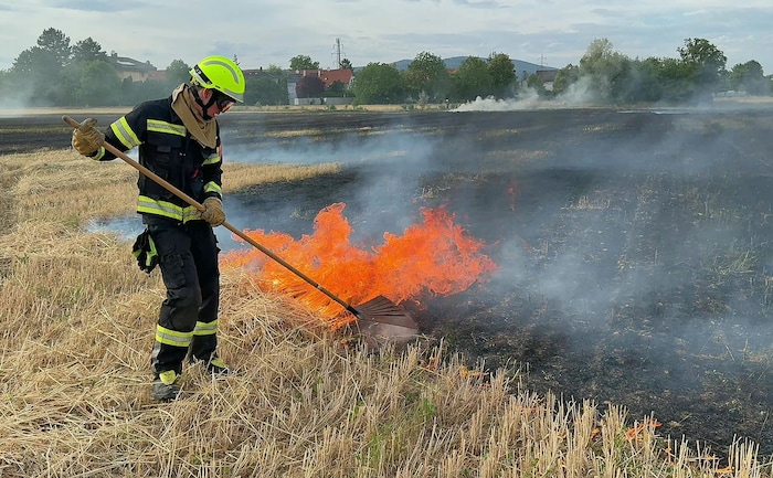 Mit Feuerpatschen rückten die Einsatzkräfte auffflammenden Glutnestern zuleibe.