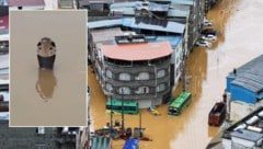 Die Tiere waren in Hengzhou in der Autonomen Region Guangxi Zhuang entkommen, nachdem die ...