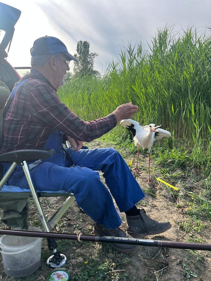 Scheu hat der Vogel vor dem Angler keine mehr.