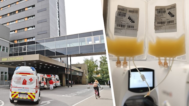 Ein Thrombozyten-Konzentrat der Innsbrucker Blutbank – Zentralinstitut für Bluttransfusion.