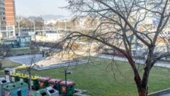 Der 21-Jährige soll das Mädchen im Bereich Schwedenplatz angesprochen haben.