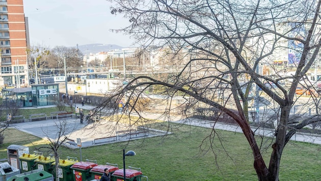 Der 21-Jährige soll das Mädchen im Bereich Schwedenplatz angesprochen haben.