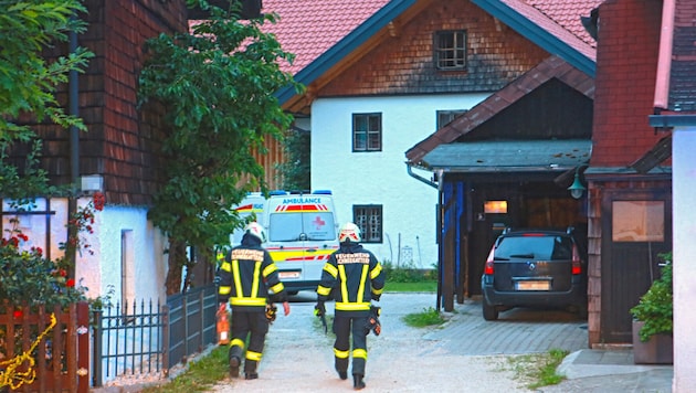 Die Feuerwehrleute mussten bei ihrem Rettungseinsatz Werkzeug zu Hilfe nehmen.