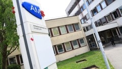 Seit 2023 wurden vom AMS und anderen Partnern über 200 Aktivitäten für die Strategie 2030 ...