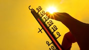 Die 40 Grad wurden im Osten des Landes bereits geknackt. Die Regierung will nun handeln. Doch ...