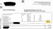 Dubiose Verbindungen nach Russland und Afrika ließen die Telefonrechnung in die Höhe schnellen.