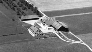 Der Sennhof in Brederis in den 1950er-Jahren