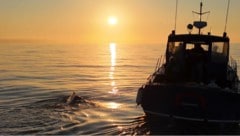 Neben dem Boot musste Findenig zwölf Stunden nach Schottland durchschwimmen.