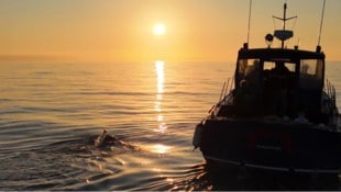 Neben dem Boot musste Findenig zwölf Stunden nach Schottland durchschwimmen.