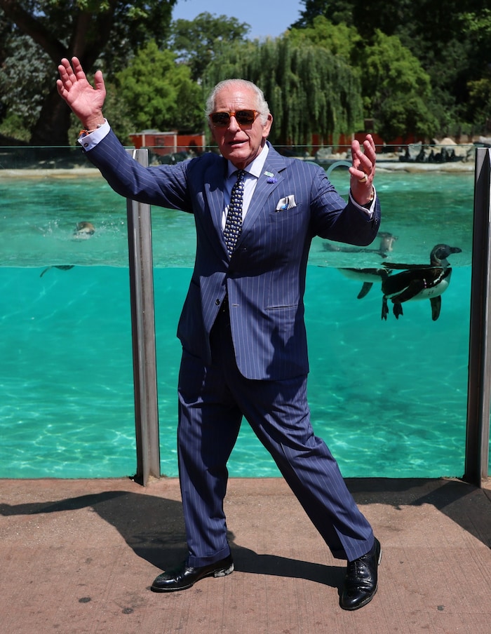 Tierisch gute Laune: Naturfreund König Charles strahlte bei seinem Besuch im Londoner Zoo.
