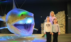 Im Schlossmuseum gibt es Führungen und Aktivstationen zu Natur und Technik.