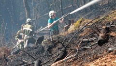 Auch in Vorarlberg ist die Gefahr von Waldbränden derzeit besonders groß.
