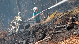 Auch in Vorarlberg ist die Gefahr von Waldbränden derzeit besonders groß.