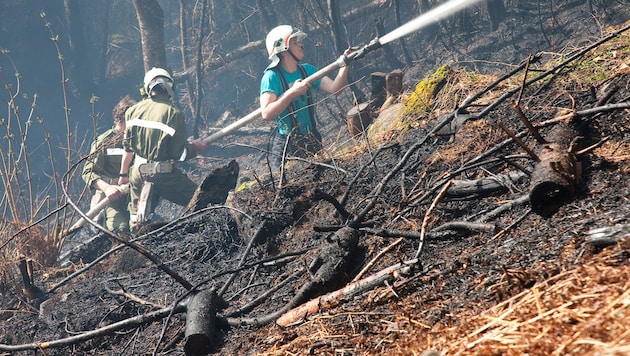 Auch in Vorarlberg ist die Gefahr von Waldbränden derzeit besonders groß.