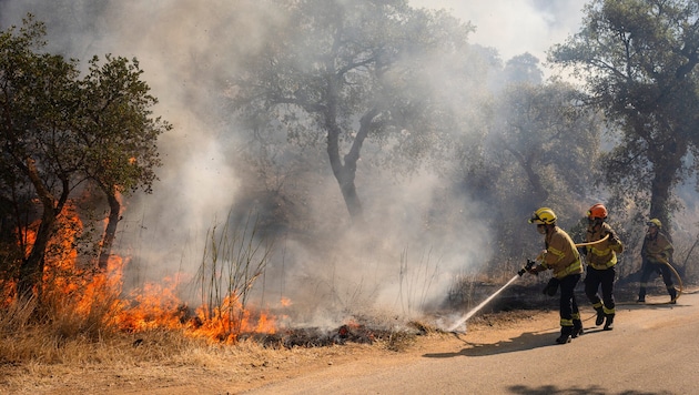 Feuerwehrleute kämpfen Anfang Juli gegen die Flammen in Calonge, in der spanischen Region ...