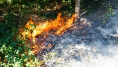 Die Feuerwehr wurde gegen 17.30 Uhr zu einem Waldbrand in Schnifis gerufen.