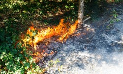 Die Feuerwehr wurde gegen 17.30 Uhr zu einem Waldbrand in Schnifis gerufen.