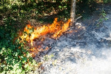 Die Feuerwehr wurde gegen 17.30 Uhr zu einem Waldbrand in Schnifis gerufen.