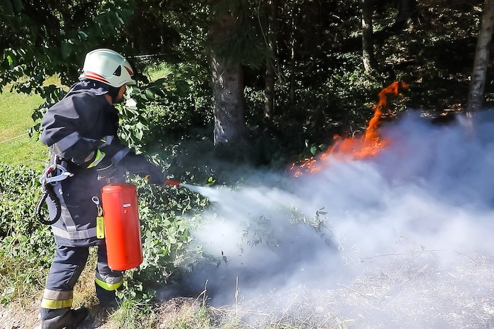 Die Feuerwehr konnte das Feuer löschen, bevor sich der Brand weiter auf den Wald ausbreiten ...