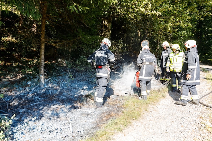 Die Feuerwehr konnte das Feuer löschen, bevor sich der Brand weiter auf den Wald ausbreiten ...