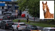 Das Auto wird in Russland immer unattraktiver. So mancher setzt daher wieder auf echte ...