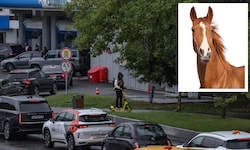 Das Auto wird in Russland immer unattraktiver. So mancher setzt daher wieder auf echte ...