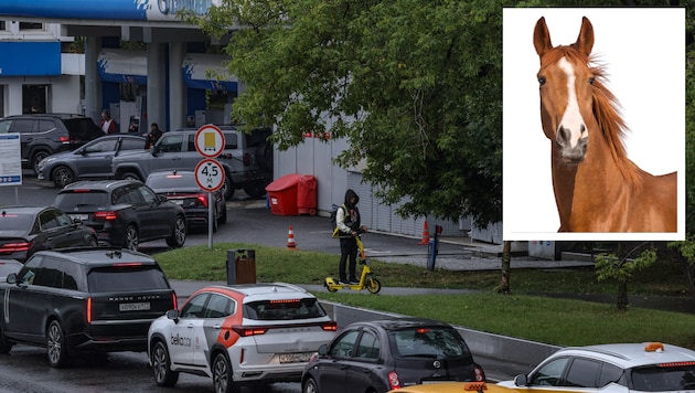 Das Auto wird in Russland immer unattraktiver. So mancher setzt daher wieder auf echte ...