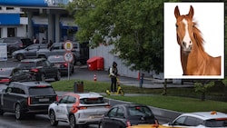 Das Auto wird in Russland immer unattraktiver. So mancher setzt daher wieder auf echte ...