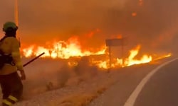 Einsatzkräfte kämpfen gegen die Flammen.